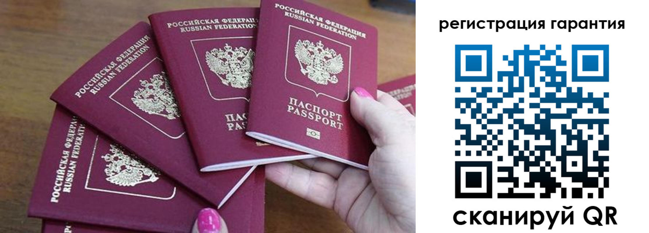 прописка поиск в Светогорске